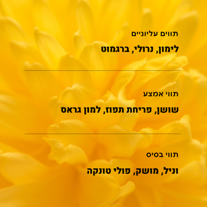 #פריחתלימון