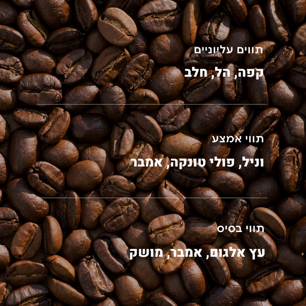 #רוחהמדבר