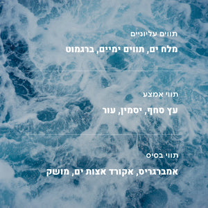 בריזה מהים