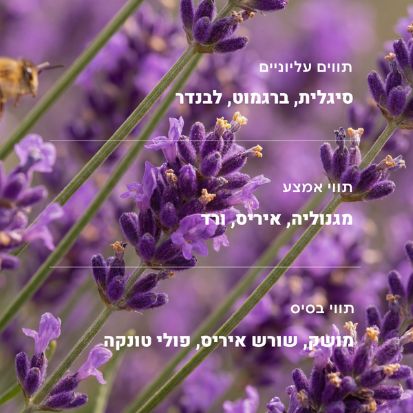 #קטיפתסיגליות