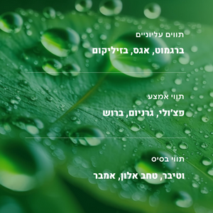 #ערפלהיער