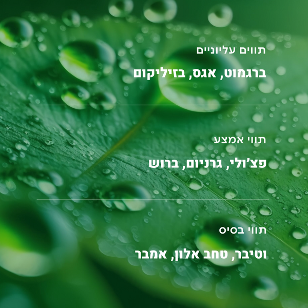 #ערפלהיער
